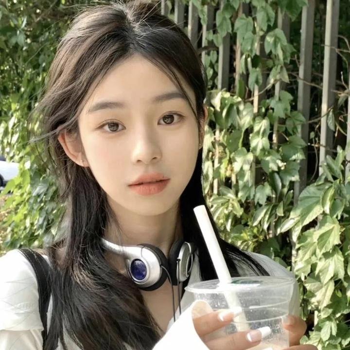 戴洛奇小镇第一季